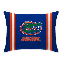 Load image into Gallery viewer, NCAA Standard Stripe Logo Bed Pillow