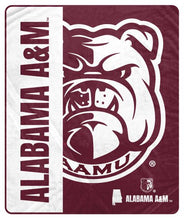 Load image into Gallery viewer, NCAA Endzone Ultra Soft Tailgate Throw