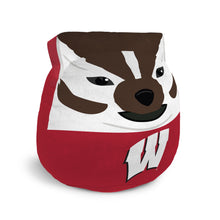 Load image into Gallery viewer, NCAA Plushie Mascot Pillow w/ features