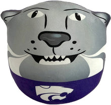 Load image into Gallery viewer, NCAA Plushie Mascot Pillow w/ features