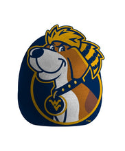 Load image into Gallery viewer, NCAA Plushie Mascot Pillow w/ features