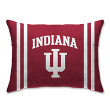 Load image into Gallery viewer, NCAA Standard Stripe Logo Bed Pillow