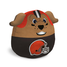 Load image into Gallery viewer, NFL Plushie Mascot Pillow w/features