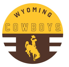 Load image into Gallery viewer, NCAA Circle Plushlete Pillow