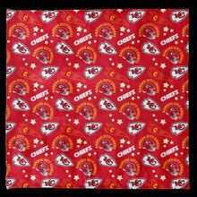 Load image into Gallery viewer, NFL Victory Pennant Cozy 108x108 Family Blanket