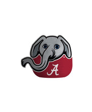 Load image into Gallery viewer, NCAA Plushie Mascot Pillow w/ features