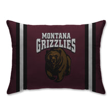 Load image into Gallery viewer, NCAA Standard Stripe Logo Bed Pillow