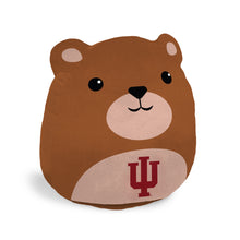 Load image into Gallery viewer, NCAA Plushie Mascot Pillow w/ features