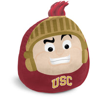 Load image into Gallery viewer, NCAA Plushie Mascot Pillow w/ features