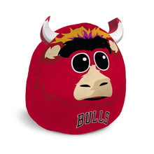 Load image into Gallery viewer, NBA Plushie Mascot Pillow w/features