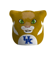 Load image into Gallery viewer, NCAA Plushie Mascot Pillow w/ features