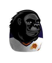 Load image into Gallery viewer, NBA Plushie Mascot Pillow w/features