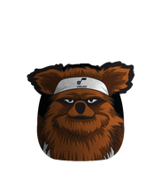 Load image into Gallery viewer, NBA Plushie Mascot Pillow w/features