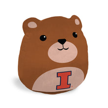 Load image into Gallery viewer, NCAA Plushie Mascot Pillow w/ features