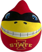 Load image into Gallery viewer, NCAA Plushie Mascot Pillow w/ features