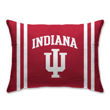 Load image into Gallery viewer, NCAA Standard Logo Bed Pillow