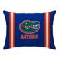 NCAA Standard Stripe Logo Bed Pillow
