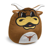 Load image into Gallery viewer, NCAA Plushie Mascot Pillow w/ features
