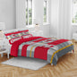NFL Heathered Stripe 3 PC Queen Bed in a Bag