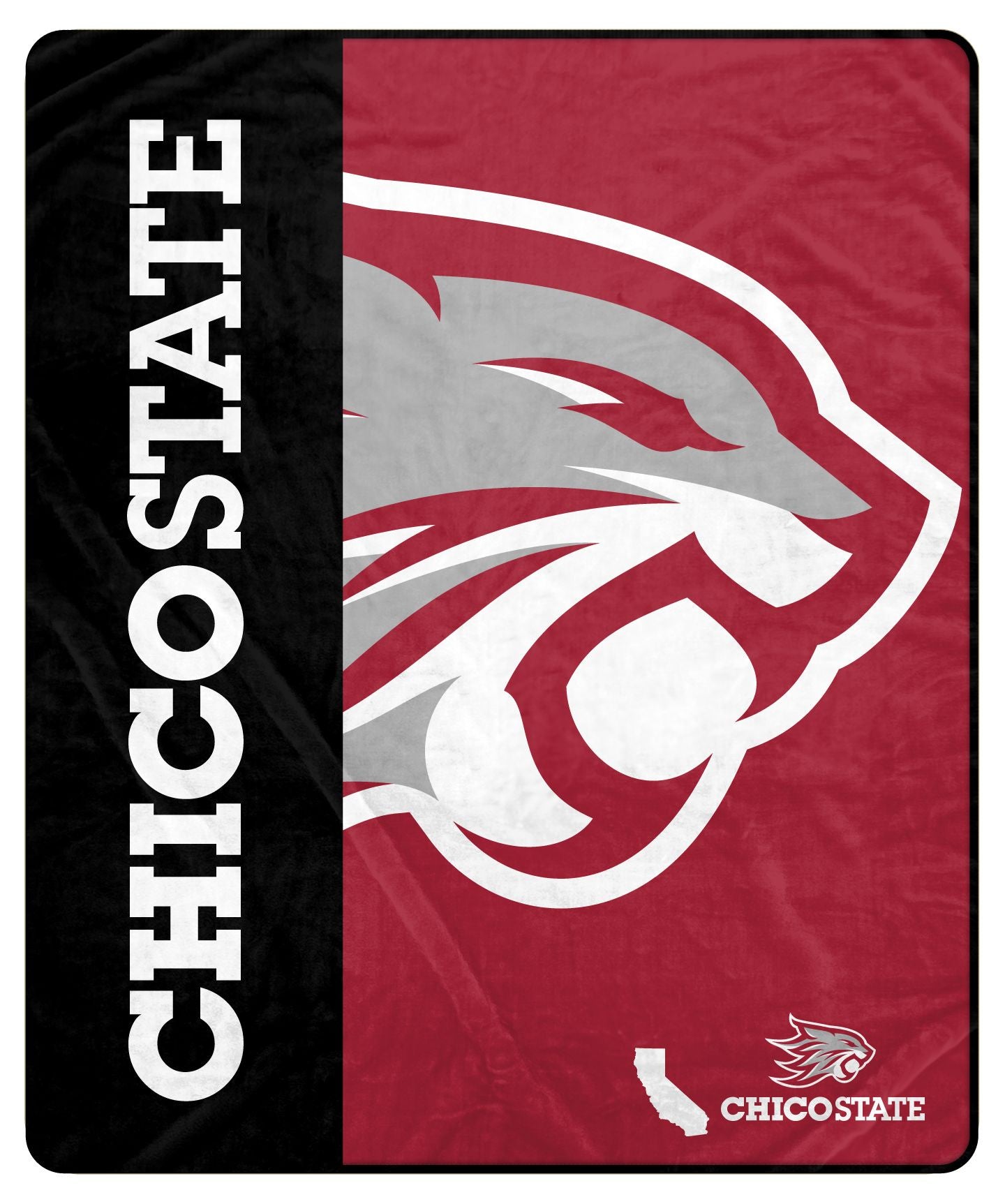 NCAA Endzone Ultra Soft Tailgate Throw