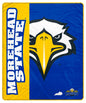NCAA Endzone Ultra Soft Tailgate Throw