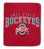 NCAA Vintage Arch Block Ultra Soft 50x60 Throw Blanket