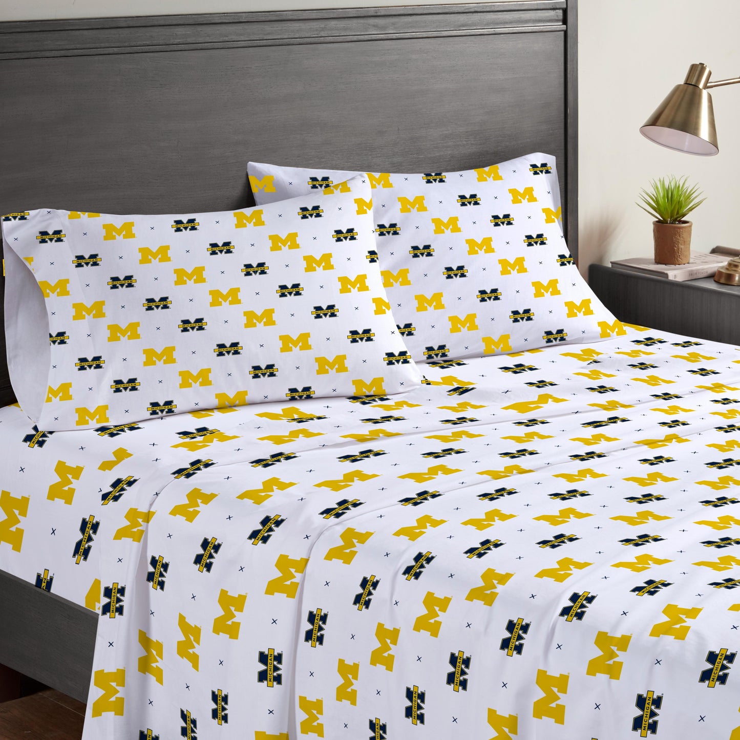 NCAA Small X Full Sheet Set