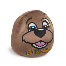 Load image into Gallery viewer, NBA Plushie Mascot Pillow w/features
