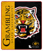 NCAA Endzone Ultra Soft Tailgate Throw