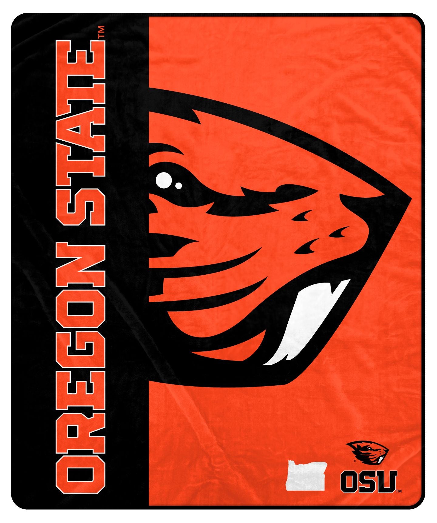 NCAA Endzone Ultra Soft Tailgate Throw