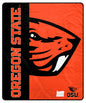 NCAA Endzone Ultra Soft Tailgate Throw
