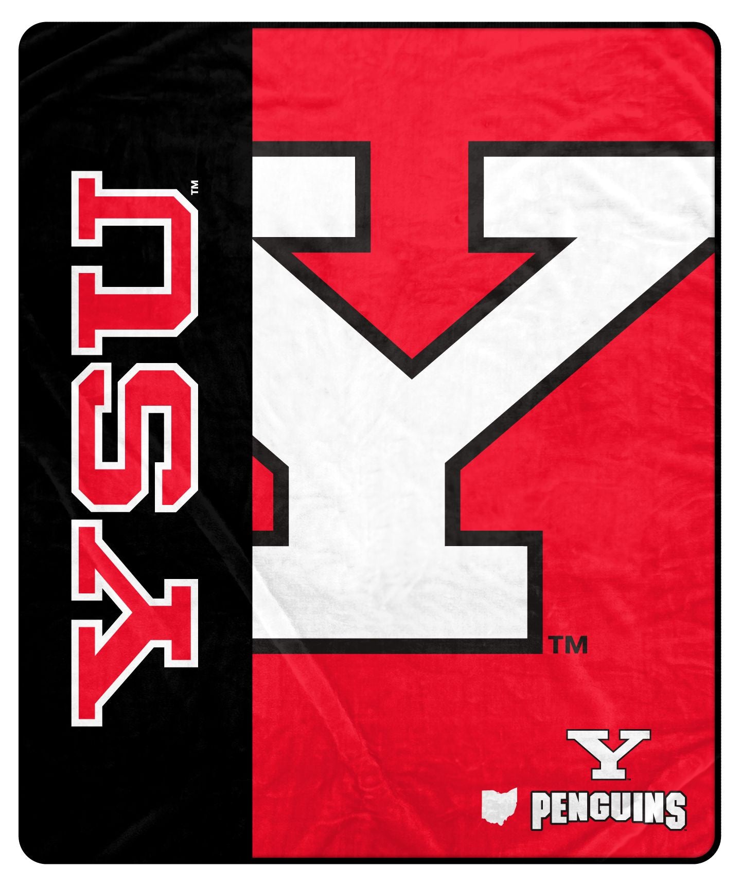 NCAA Endzone Ultra Soft Tailgate Throw