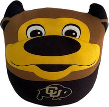 Load image into Gallery viewer, NCAA Plushie Mascot Pillow w/ features
