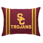 NCAA Standard Stripe Logo Bed Pillow
