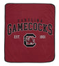 NCAA Vintage Arch Block Ultra Soft 50x60 Throw Blanket