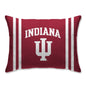 NCAA Standard Stripe Logo Bed Pillow