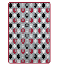 Load image into Gallery viewer, NCAA Logo Roll Ultra Cozy Oversized 66x95 Blanket
