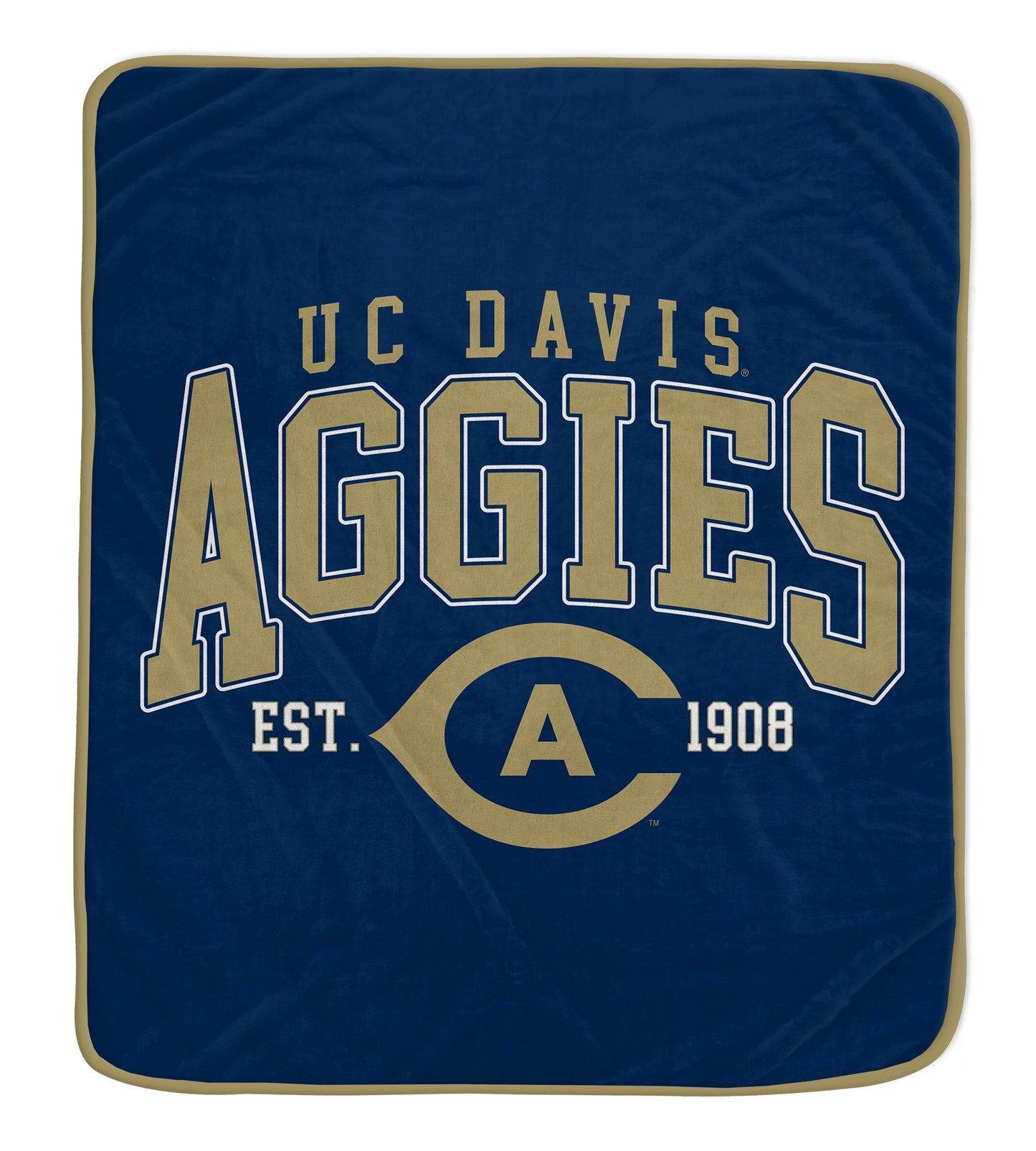 NCAA Vintage Arch Block Ultra Soft 50x60 Throw Blanket