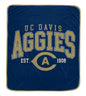 NCAA Vintage Arch Block Ultra Soft 50x60 Throw Blanket