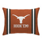 NCAA Standard Logo Stripe Bed Pillow