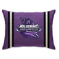 NCAA Standard Stripe Logo Bed Pillow