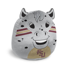 Load image into Gallery viewer, NCAA Plushie Mascot Pillow w/ features
