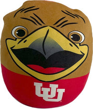 Load image into Gallery viewer, NCAA Plushie Mascot Pillow w/ features
