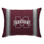 NCAA Standard Stripe Logo Bed Pillow
