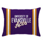 NCAA Standard Stripe Logo Bed Pillow