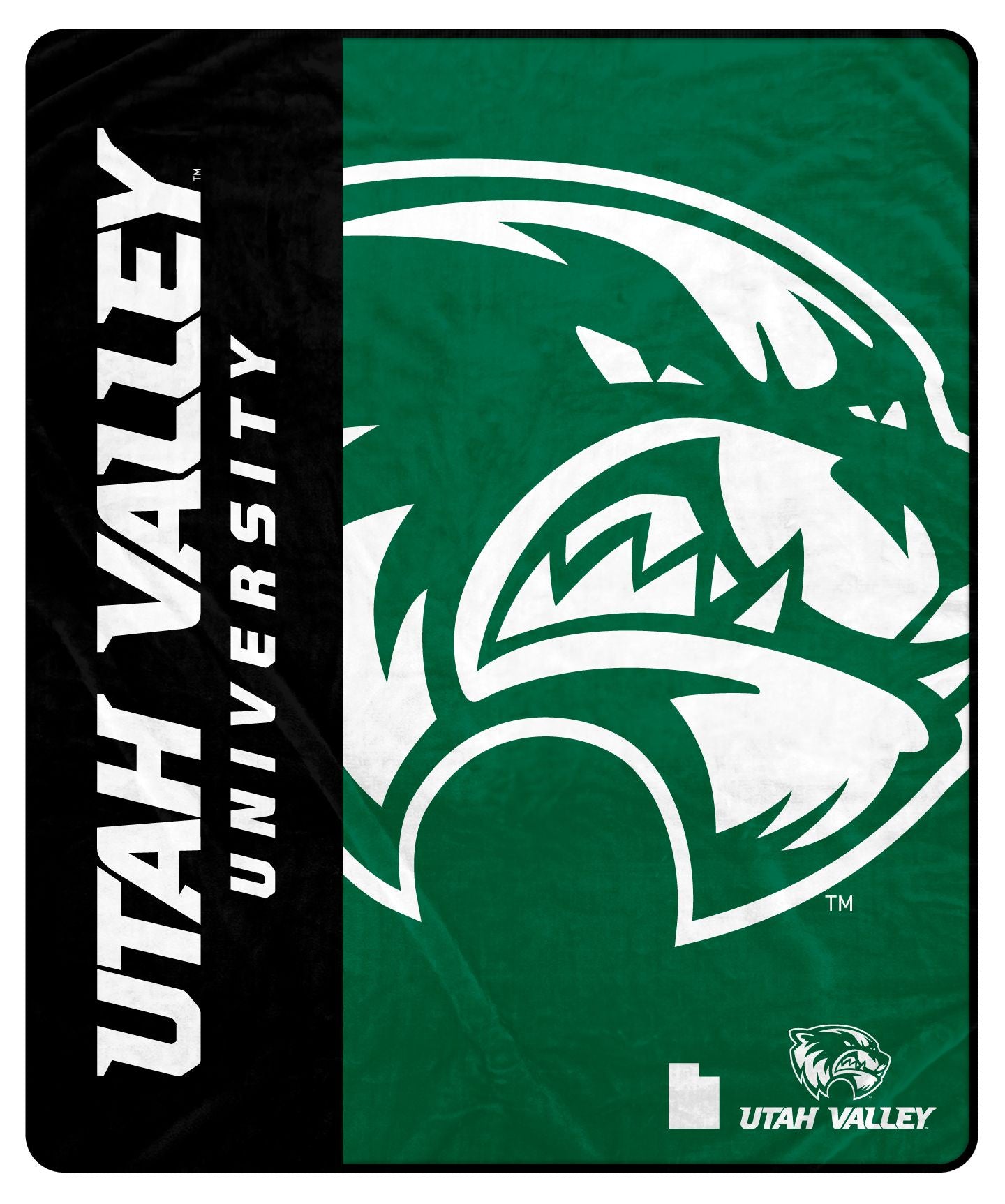 NCAA Endzone Ultra Soft Tailgate Throw