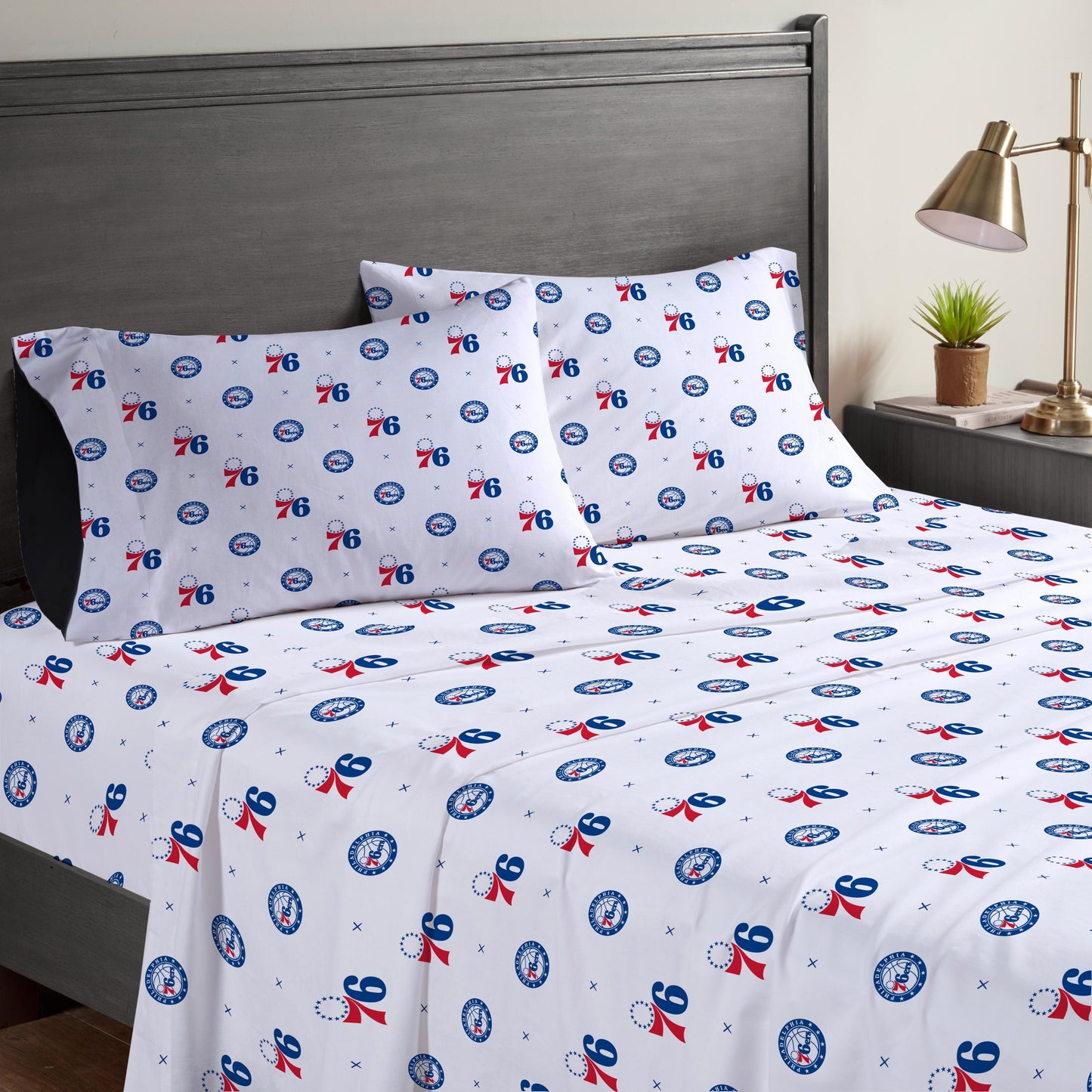 NBA Small X Queen Sheet Set