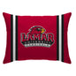 NCAA Standard Stripe Logo Bed Pillow