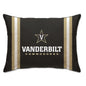 NCAA Standard Stripe Logo Bed Pillow