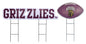 NCAA Wordmark & Football 3 Pack Yard Sign Set